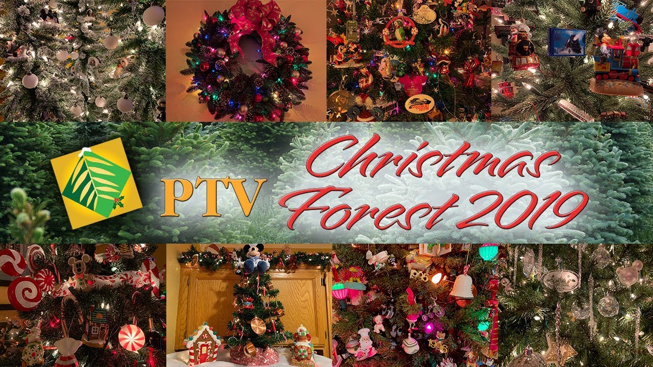 ptv free travel christmas