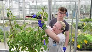 A Levels, Apprenticeships & More | Which College Is Right for You?