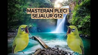 Download Lagu MASTERAN PLECI SEJALUR G12 MP3