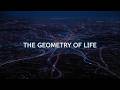 The Hidden Equations That Build Every City on Earth