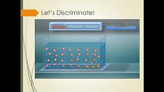 Membrane Processing Part 2