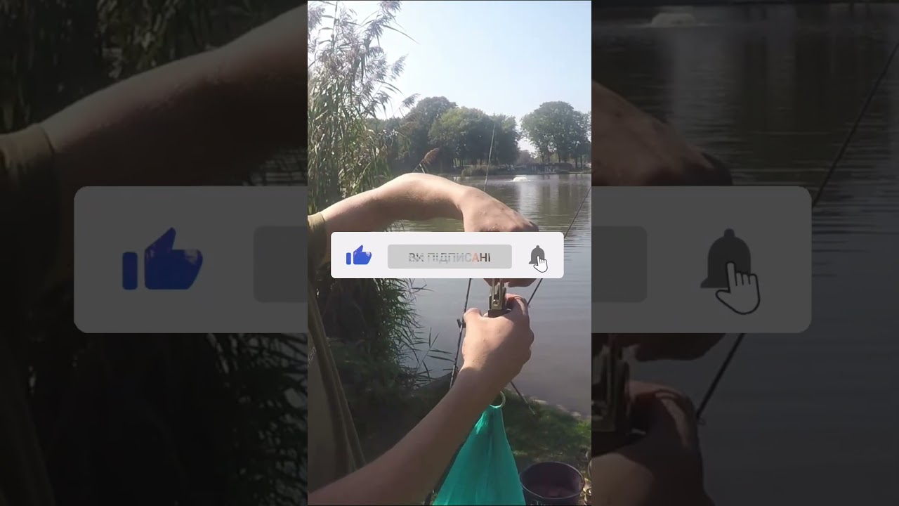 Оце КАРАСЬ! 2800!  