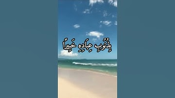 وتوكل على الحي الذي لا يموت حالات واتس اب قران كريم القارئ إدريس أبكر