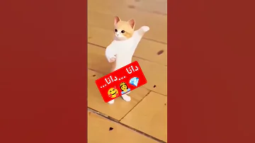 جوجو جوجو دانا دنا الحلوة دانا العراق السعودية قطر الكويت مصر الإمارات البحرين عمان الجزائر 