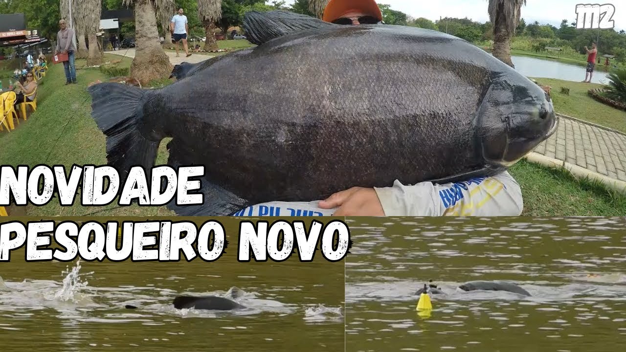 RECANTO DO SOL - NOVIDADE NO FISHINGTUR COM MUITO PEIXE. 1112