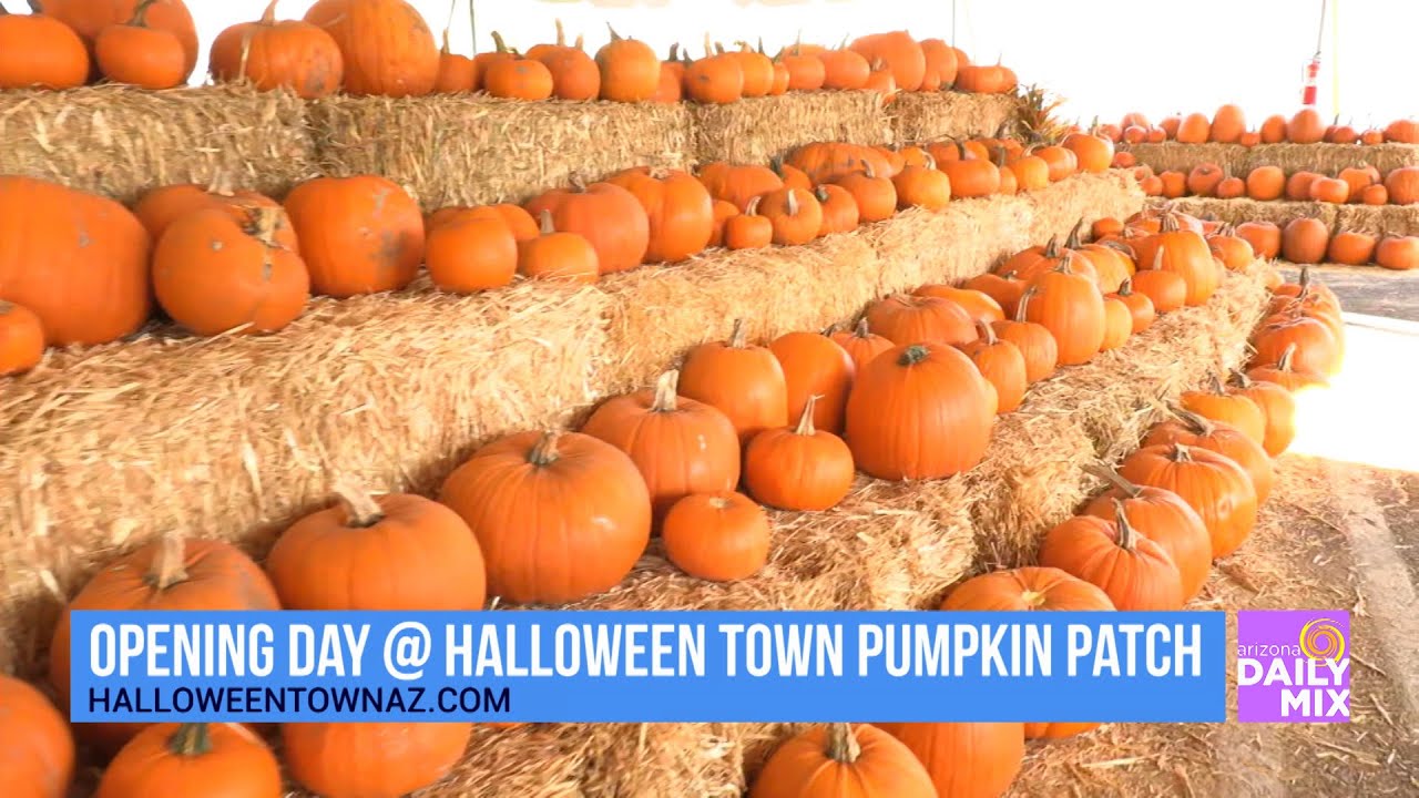 Halloween Town Pumpkin Patch Youtube Halloween Town Pumpkin Patch Youtube