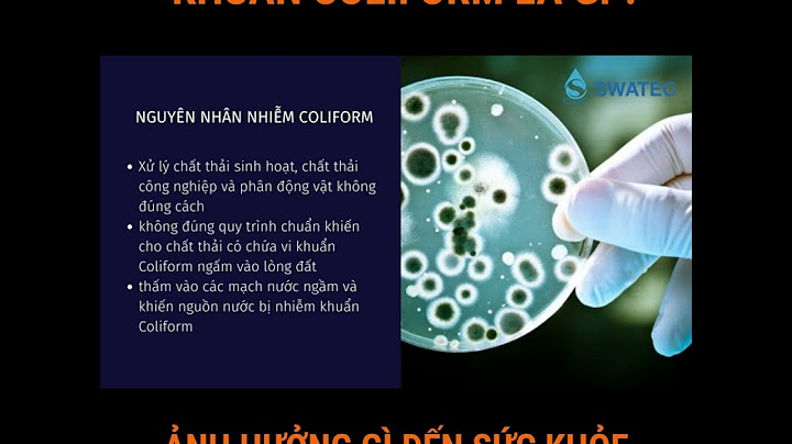 Chỉ tiêu coliform trong nước uống là gì năm 2024