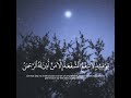 وخشعت الاصوات للرحمن تلاوة خاشعة بصوت الشيخ ياسر الدوسري