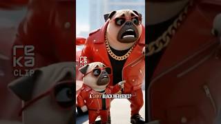 Billu ne lii new zivagn 🐰🐹