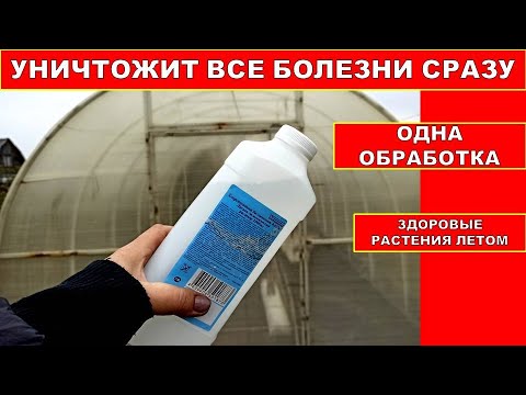 ОБРАБОТКА ТЕПЛИЦЫ ИЗ ПОЛИКАРБОНАТА ОСЕНЬЮ! ЭТО СРЕДСТВО ДЕЗИНФЕКЦИИ ИСКОРЕНИТ ВСЕ БОЛЕЗНИ СРАЗУ!