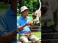 Monkey Stole My Food 😂 | Funny Monkey Reaction #shorts#viralvlogindia