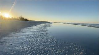 Shelling SUPER Low Tide vs. High Tide  Ten Thousand Islands, Florida