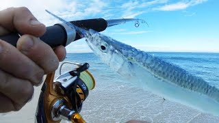 Beach Fishing for Robust STORM GARFISH How to Catch Fillet n Cook