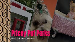 10 Most Expensive And Luxury Pets’ Accessories