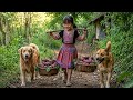 Eps001 Two dogs help a kind girl bring sweet potatoes from the forest to make cakes #harvest #trieu