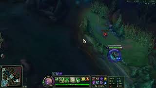 2 Riven bug