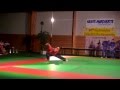 Shaolin yin quan boxe des serres de laigle