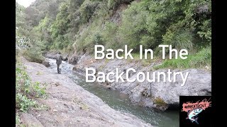 NEW ZEALAND RAINBOW TROUT FISHING "Back in the backcountry" screenshot 4