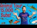 Pet Room Tour for 15,000 subscribers!