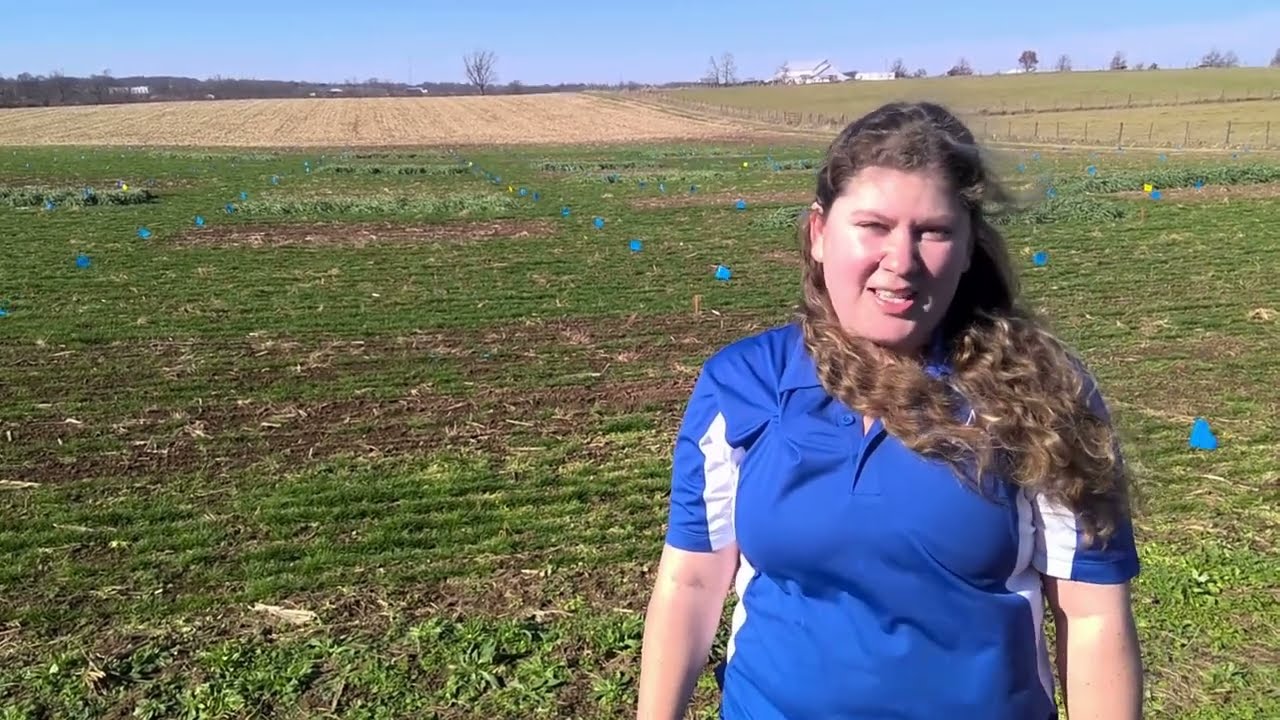 Weed Management Strategies for Establishing Kentucky Bluegrass as a Perennial Cover Crop