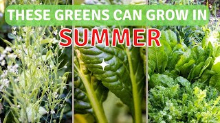 Which Leafy Green Variety is the Best for Growing in Summer Heat?