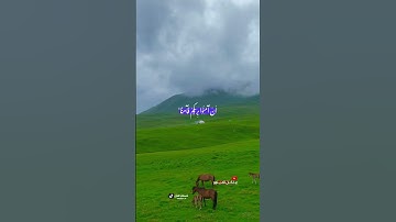 القارئ عمر علي . رَّبَّنَا إِنَّنَا سَمِعْنَا مُنَادِيًا يُنَادِي لِلْإِيمَانِ