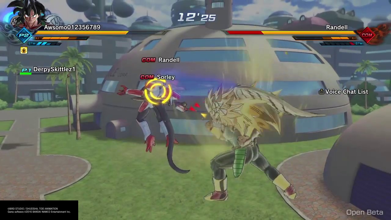 Level 80 & 60 npcs DRAGON BALL XENOVERSE 2 NPC level cap 