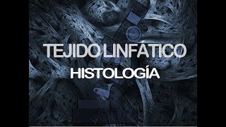 Tejido linfático | Histología