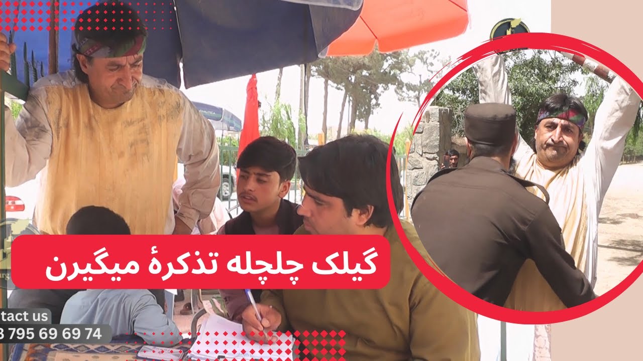 گیلک چلچله تذکرۀ میگیرن!