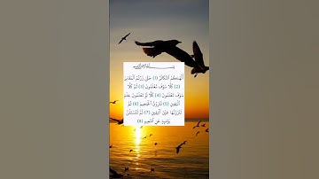 سورة التكاثر #alquran #اكسبلور #قرآن_كريم #المصحف