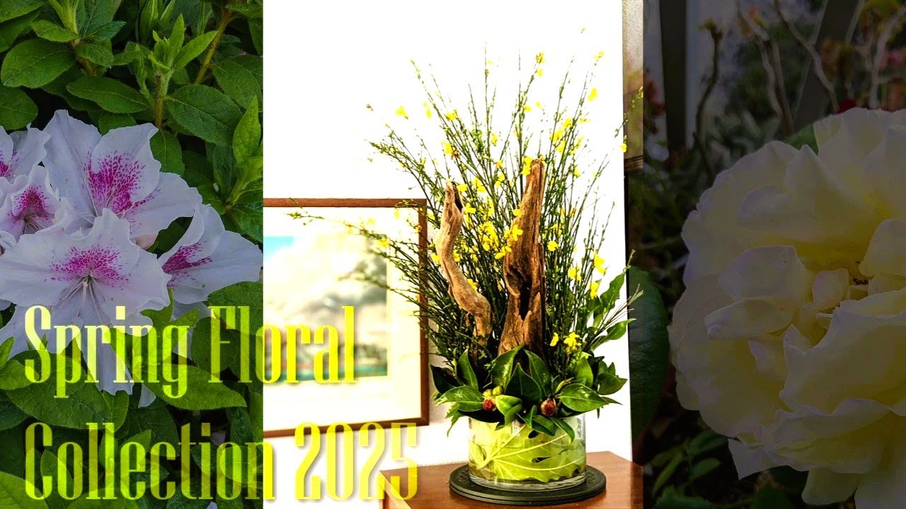 Spring Floral Collection 2025