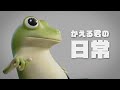 かえる君の日常