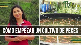 Como empezar un Cultivo de Peces  Piscicultura  TvAgro por Juan Gonzalo Angel