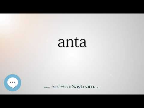anta The Most Obscure English Words Defined