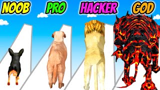 Doggy Run 3D - NOOB vs PRO vs HACKER vs GOD