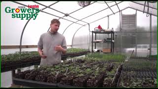 Customer Testimonial - GrowSpan Greenhouse at Vitruvian Farms