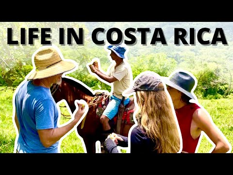 Download A Day in the Life in Nosara // Adventure, Farmers Market, Juicing // Costa Rica Vlog // Episode 14