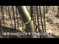 裏山で遊ぶ　シルキーゴムボーイで竹切り の動画、YouTube動画。
