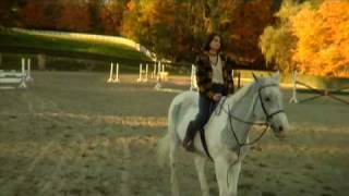 Watch Appaloosa The Day we Fell In Love video