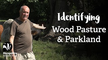 Wood-pasture and Parkland | Habitat Mapping Project | Nature Recovery Network