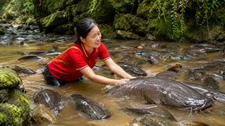 Harvesting All The Catfish Raised on Stream Go To Market Sell !!! | Susan Daily Life