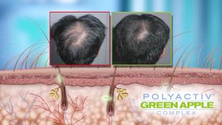 Polyactive Green Apple Overview