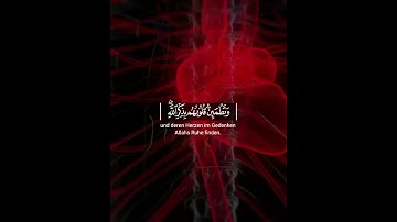 القارئ | اسلام صبحي «{الَّذِينَ ءَامَنُوا وَتَطْمَئِنُّ قُلُوبُهُم بِذِكْرِ اللَّهِ}»