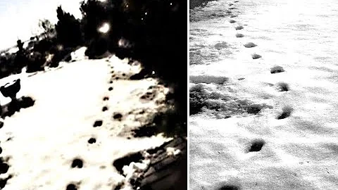 Unraveling the Mystery of the Devil's Footprints Incident in Devon