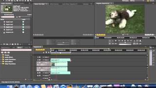 Creating a Picture in Picture PiP) Effect   Adobe Premiere Pro CS5 Video Tutorials screenshot 5