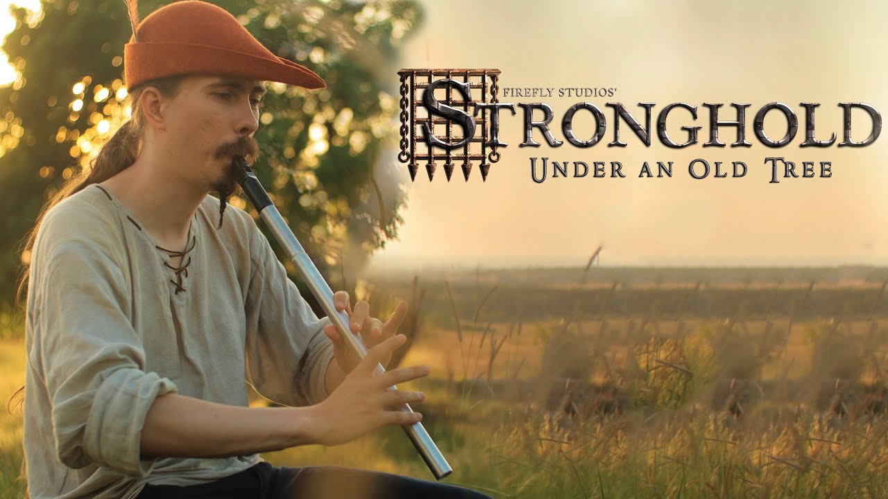 Stronghold - Under an Old Tree - Cover by Dryante