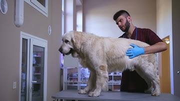 ClearSpend  | Get On The Beta Waitlist