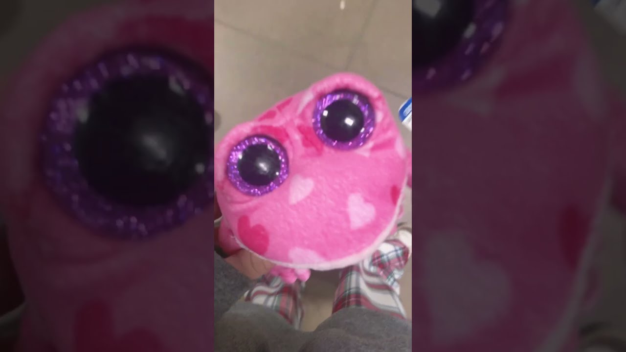 Goodwill Shopping For Beanie Boos Beanies Taylorswift Beanieboos Taylornation Beanieboo