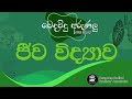 Biology Paper Discussion - වෙදවිදු අරුණලු &#39;23  ( Paper Project by GMSA )