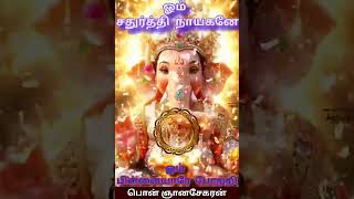 ஓம் கற்பக கணபதியே #vinayagar #pillayarpattikarpagaganapathi  #pillayarsongs #ganapathi